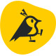 Aqiila
