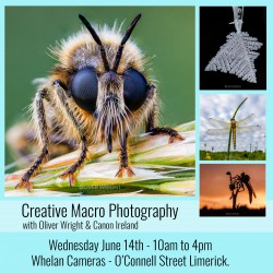 Creative Macro Workshop with Oliver Wright and Canon Ireland