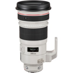 Canon EF 300mm 2.8L IS USM II