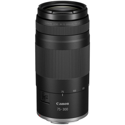 Canon EOS R50 (with RF-S 18-45mm IS STM Lens & RF-S 75-300mm STM Lens)
