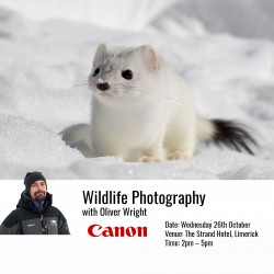 Wildlife Photography with Oliver Wright