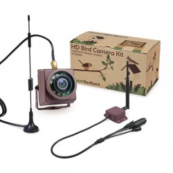 Green Backyard Long Range Wireless IP Bird Feeder Camera