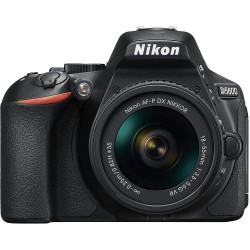 Nikon D5600 (with AF-P 18-55mm VR Lens)