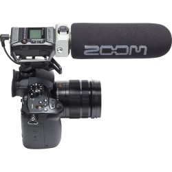 Zoom F1 Field Recorder + Shotgun Mic
